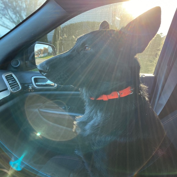 MEET YOUR POSHER, REBECCA - Picture 6 of 13